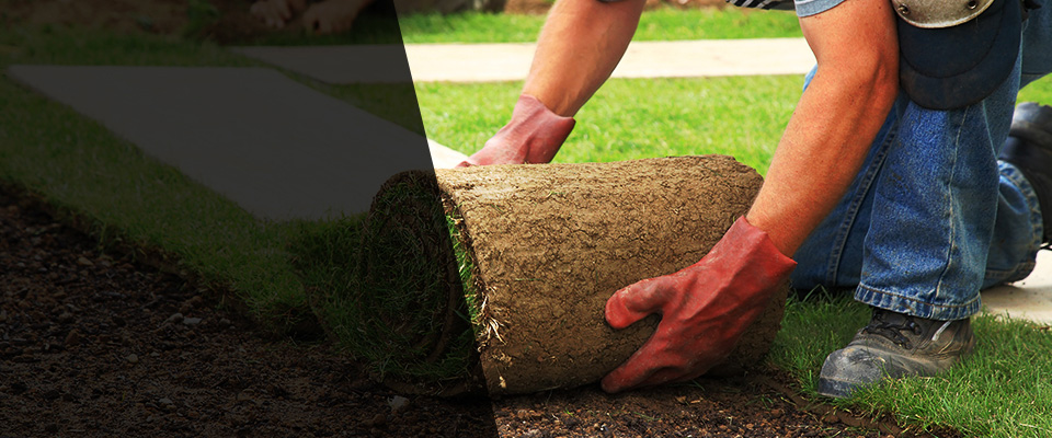 Holloman Air Force Base Landscapers